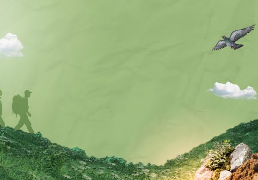 Sembratón + Caminata Ecológica