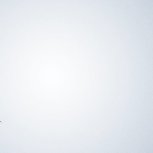 Proyectos de Aula 2025-2 Facultad de Ingeniería Ambiental