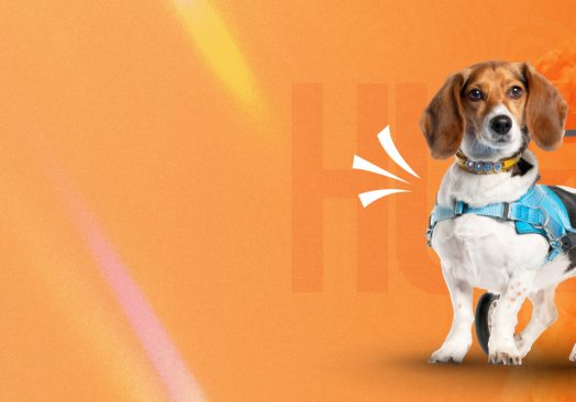 Dejando huella Pet Day Solidario