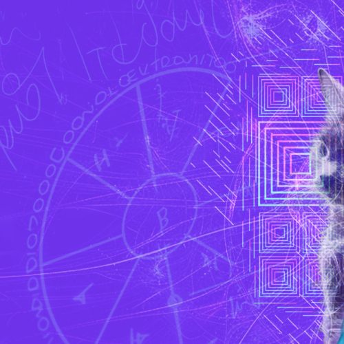 Entre números & letras “El lenguaje de los gatos cuánticos”