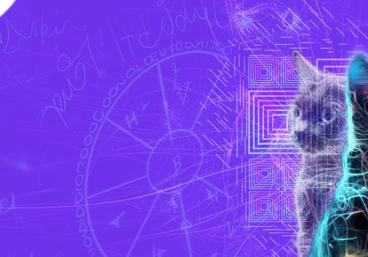 Entre números & letras “El lenguaje de los gatos cuánticos”