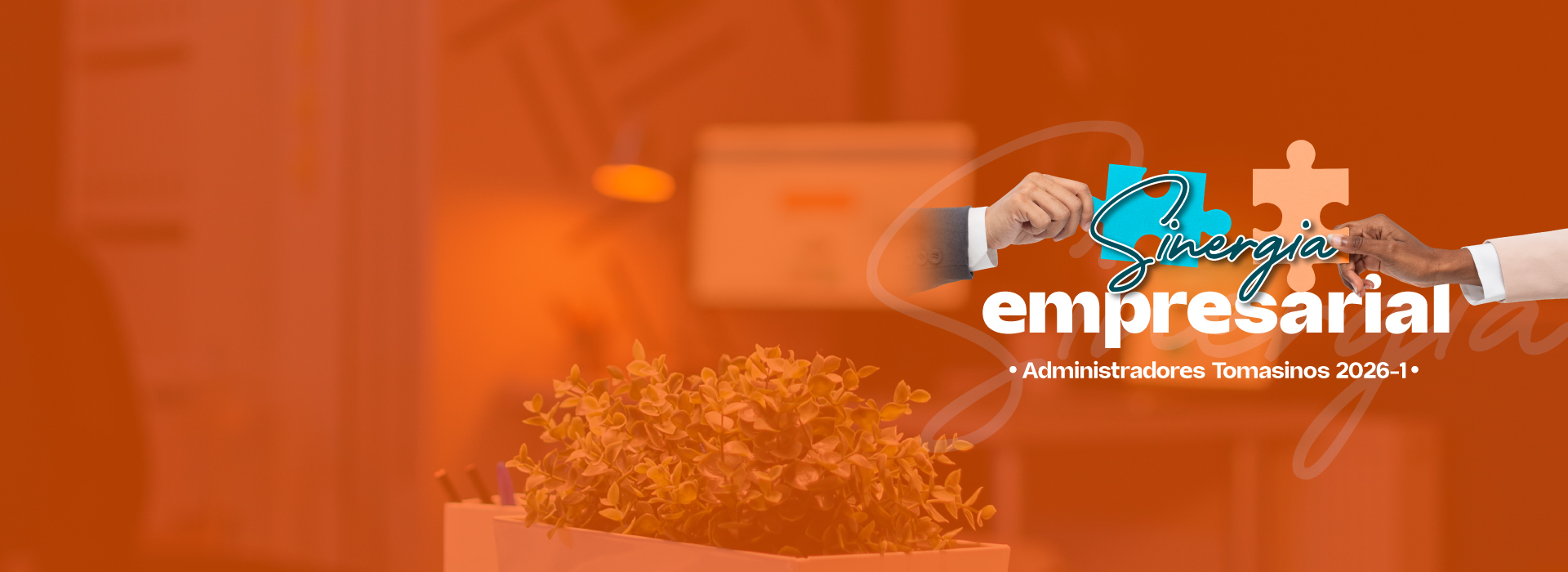 Sinergia Empresarial