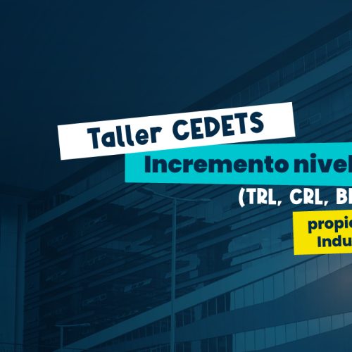 Taller CEDETS Incremento Niveles de Madurez