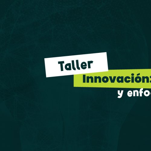 Taller Innovación: principios y enfoques institucionales